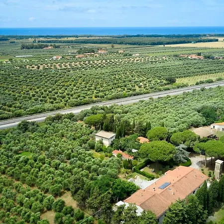 Antichi Palmenti - Rosmarino *