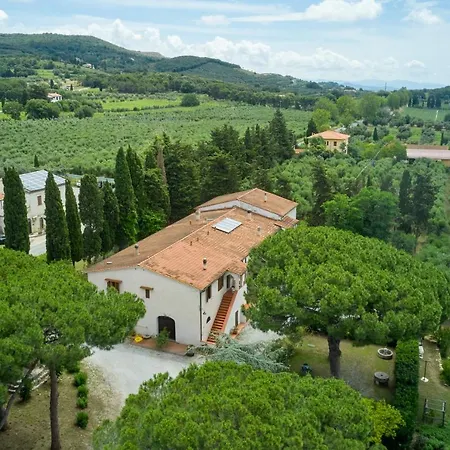 Antichi Palmenti - Rosmarino San Vincenzo