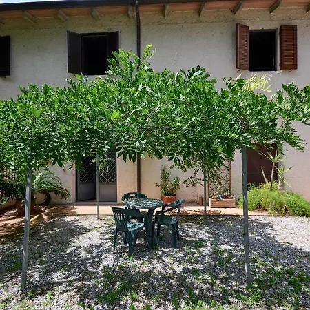 Antichi Palmenti - Rosmarino San Vincenzo