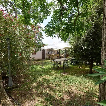 Antichi Palmenti - Rosmarino * San Vincenzo