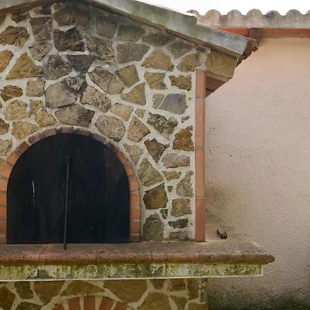 Antichi Palmenti - Rosmarino San Vincenzo
